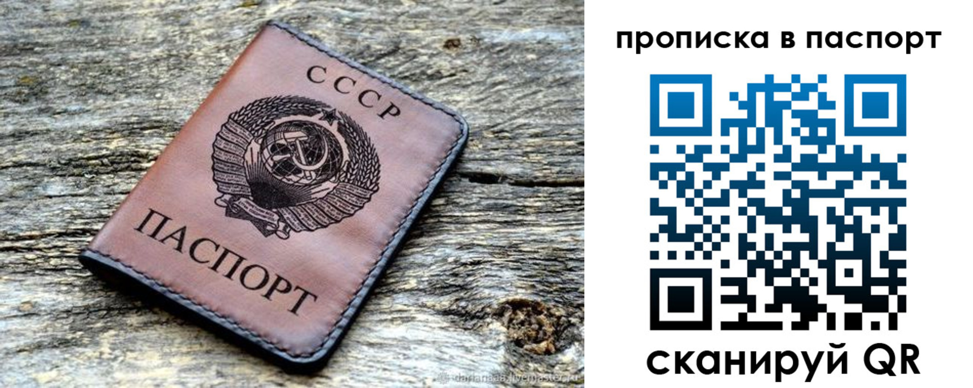 прописка ребенка в Ивантеевке